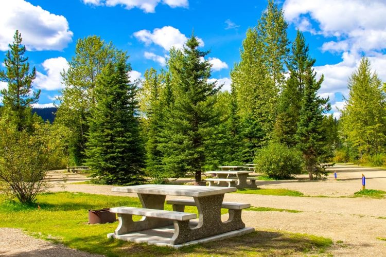 ForestRosecampgroundphoto2_1006x